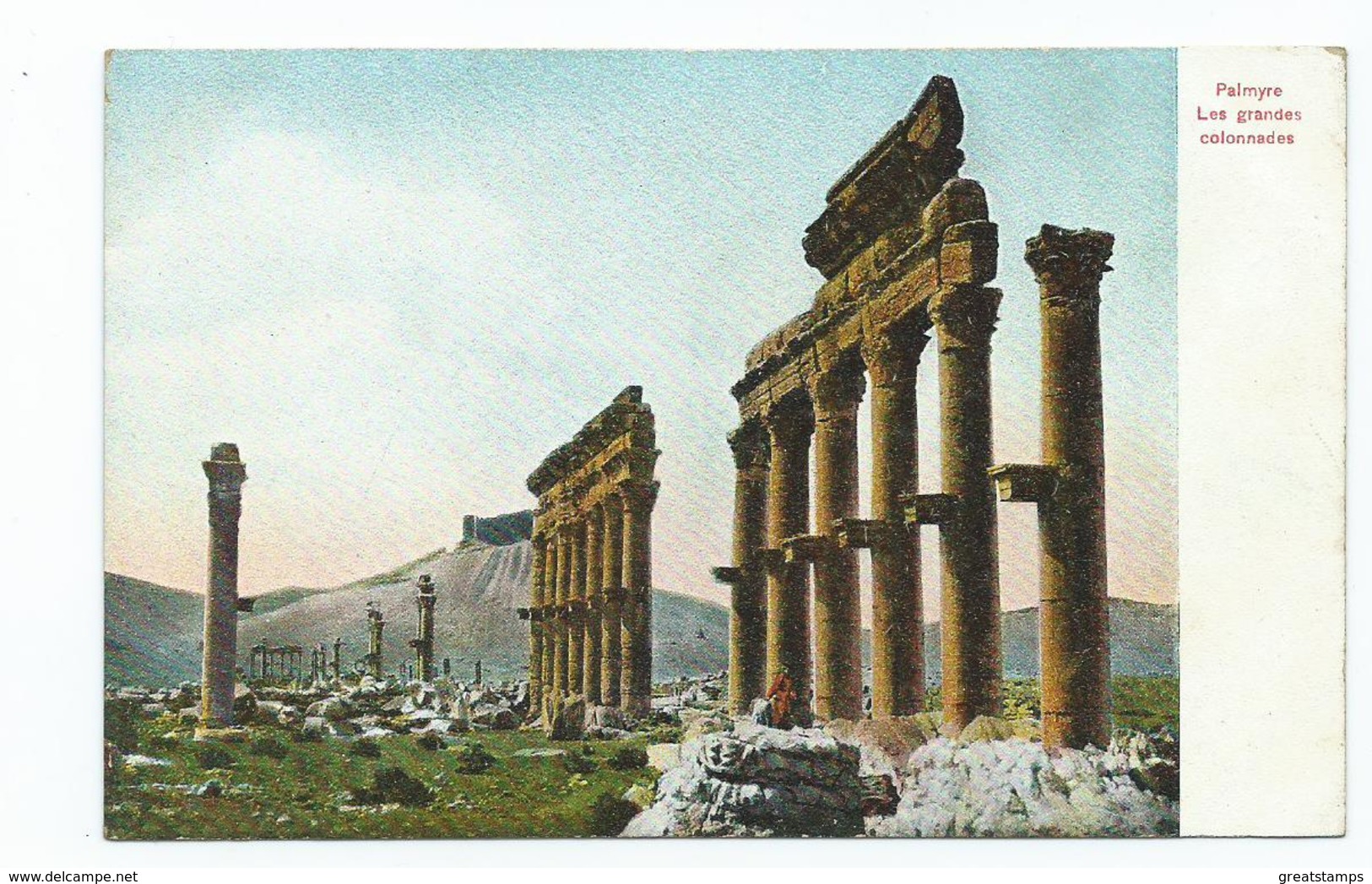 Postcard Syria Palmyre. Grande Collades  Unused - Siria