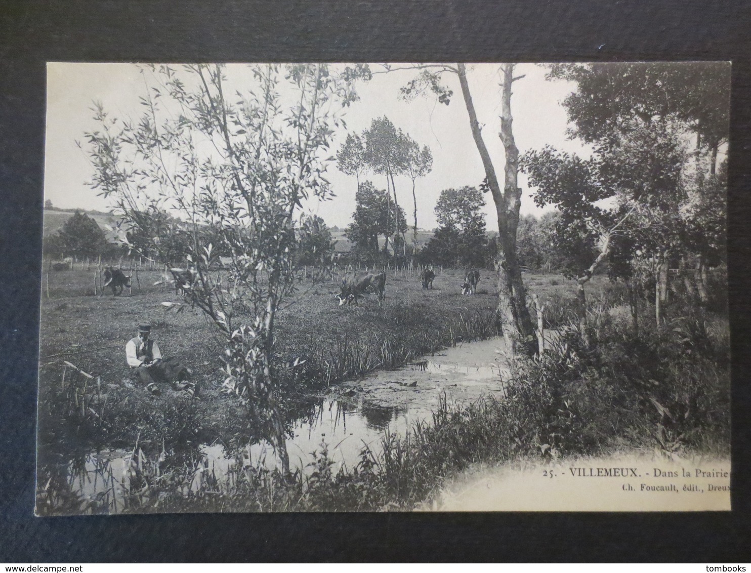 28 - Villemeux - CPA - Dans La Prairie - CH. Foucault à Dreux N° 25 -  1906 - B.E - - Villemeux-sur-Eure