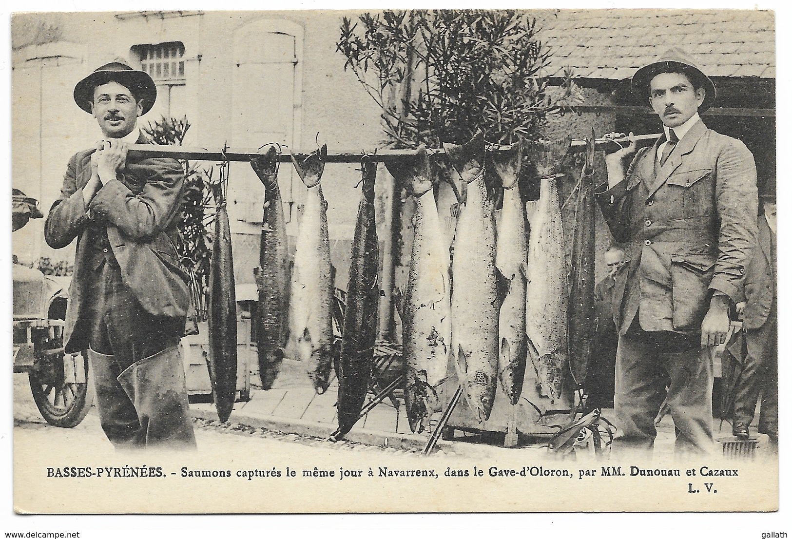 64-NAVARRENX-Saumons Capturés Le Même Jour Dans Le Gave D'Oloron Par MM. Dunouau Et Cazaux... Animé - Autres & Non Classés