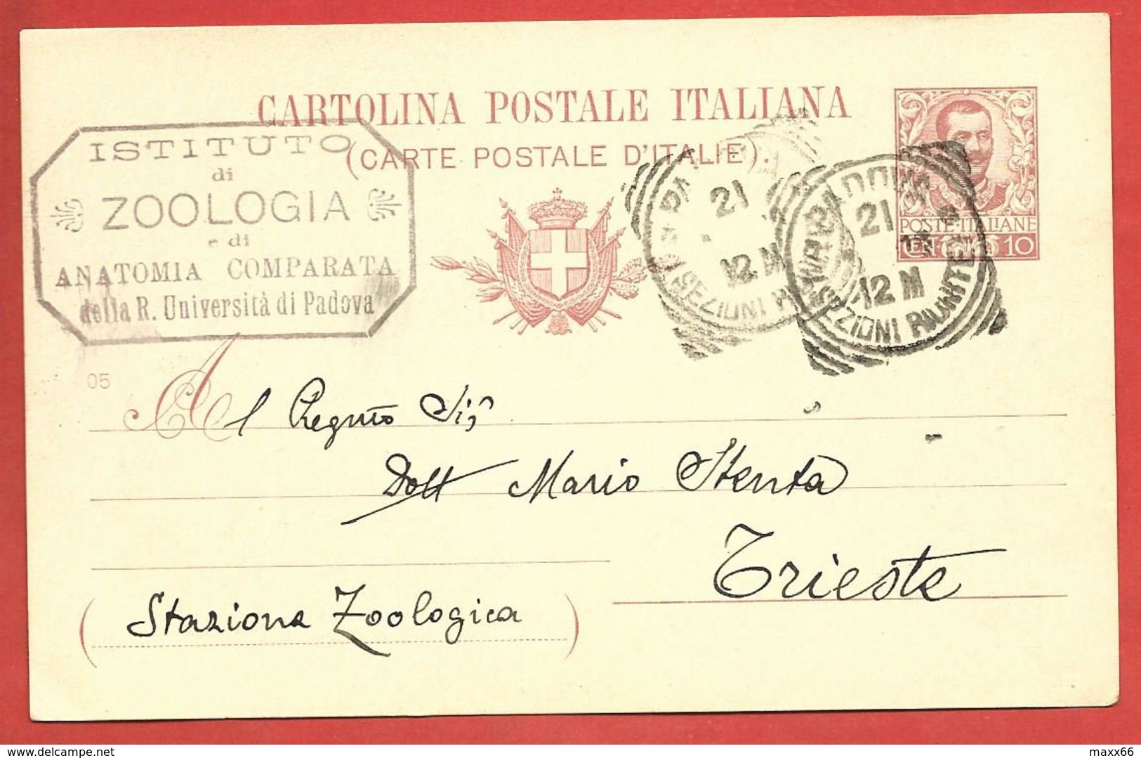 CARTOLINA POSTALE VG ITALIA - Tipo Floreale Vittorio Emanuele III - MARIO STENTA - 1906 TRIESTE - S. CP30 MILLESIMO 05 - Interi Postali