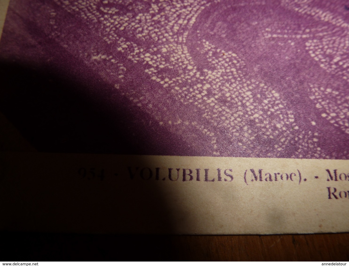 CPA  écrite En 1930  N° 954  VOLUBILIS (Maroc) - Photo Flandrin - Autres & Non Classés