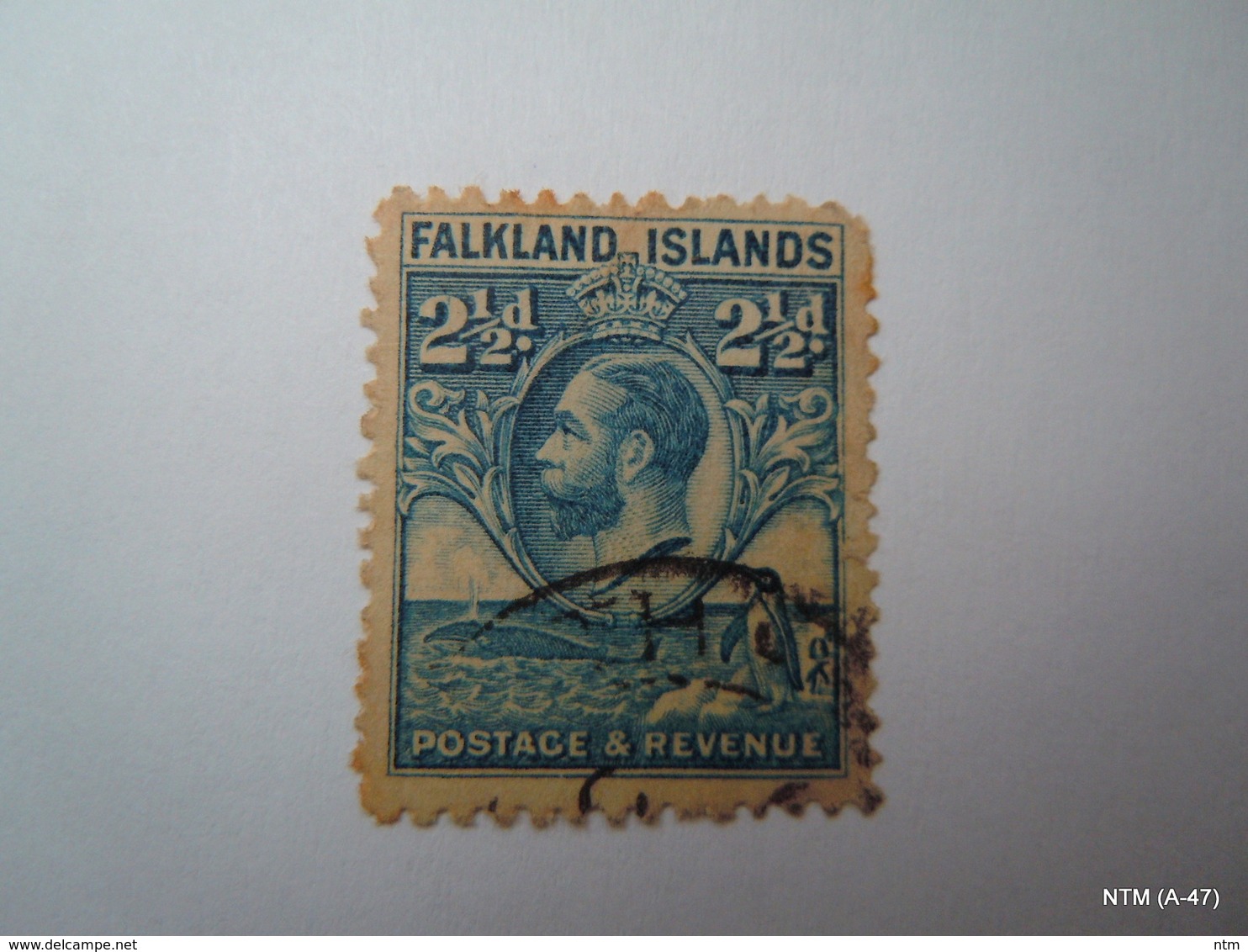 FALKLAND ISLANDS 1929, King George V (in Center), Postage And Revenue Stamp 2 1/2 D. SG119, Used. - Falkland