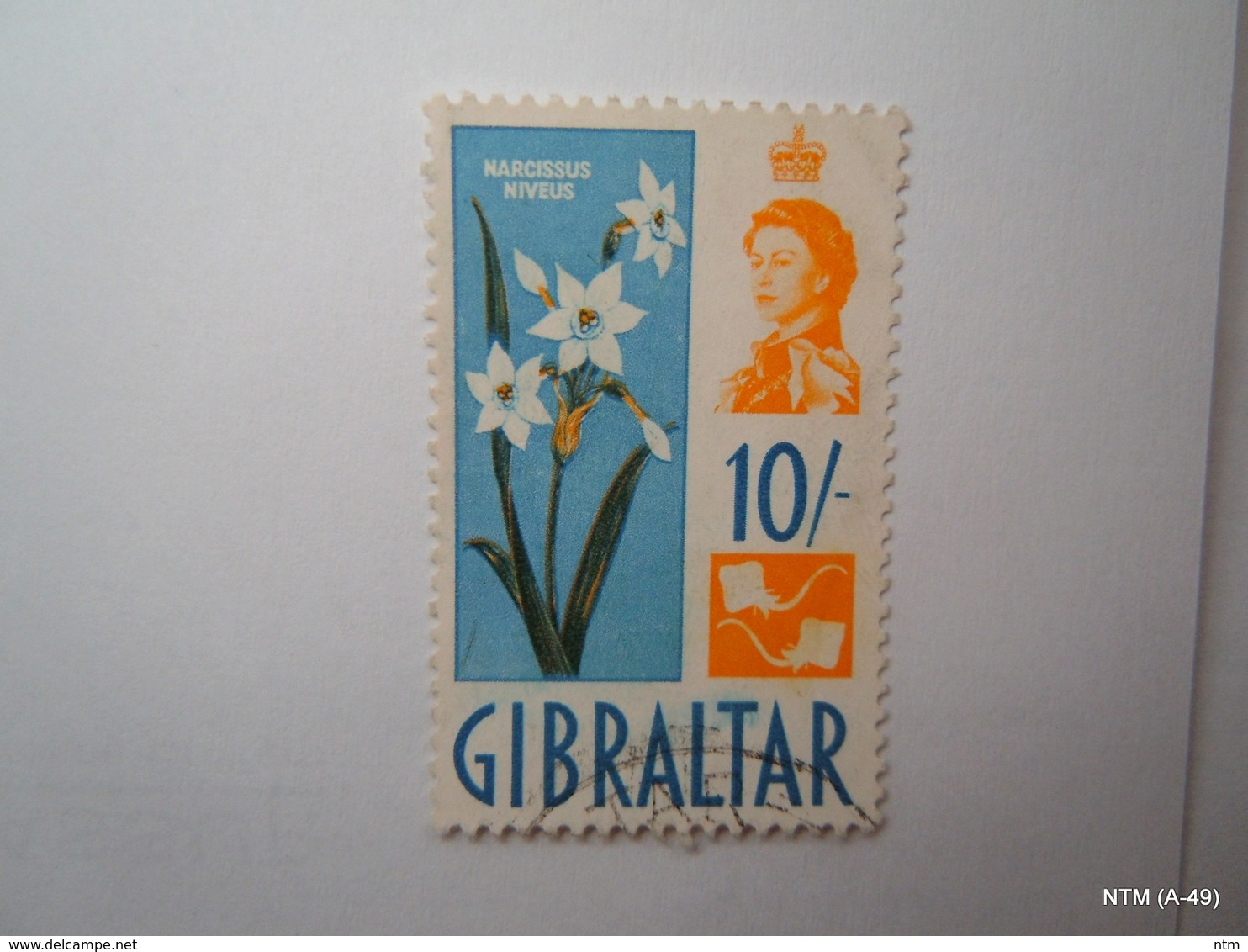 GIBRALTAR 1960, Queen Elizabeth II. 10S Stamp On Narcissus Niveus, Flowers. SG172. Fine Used. - Gibilterra