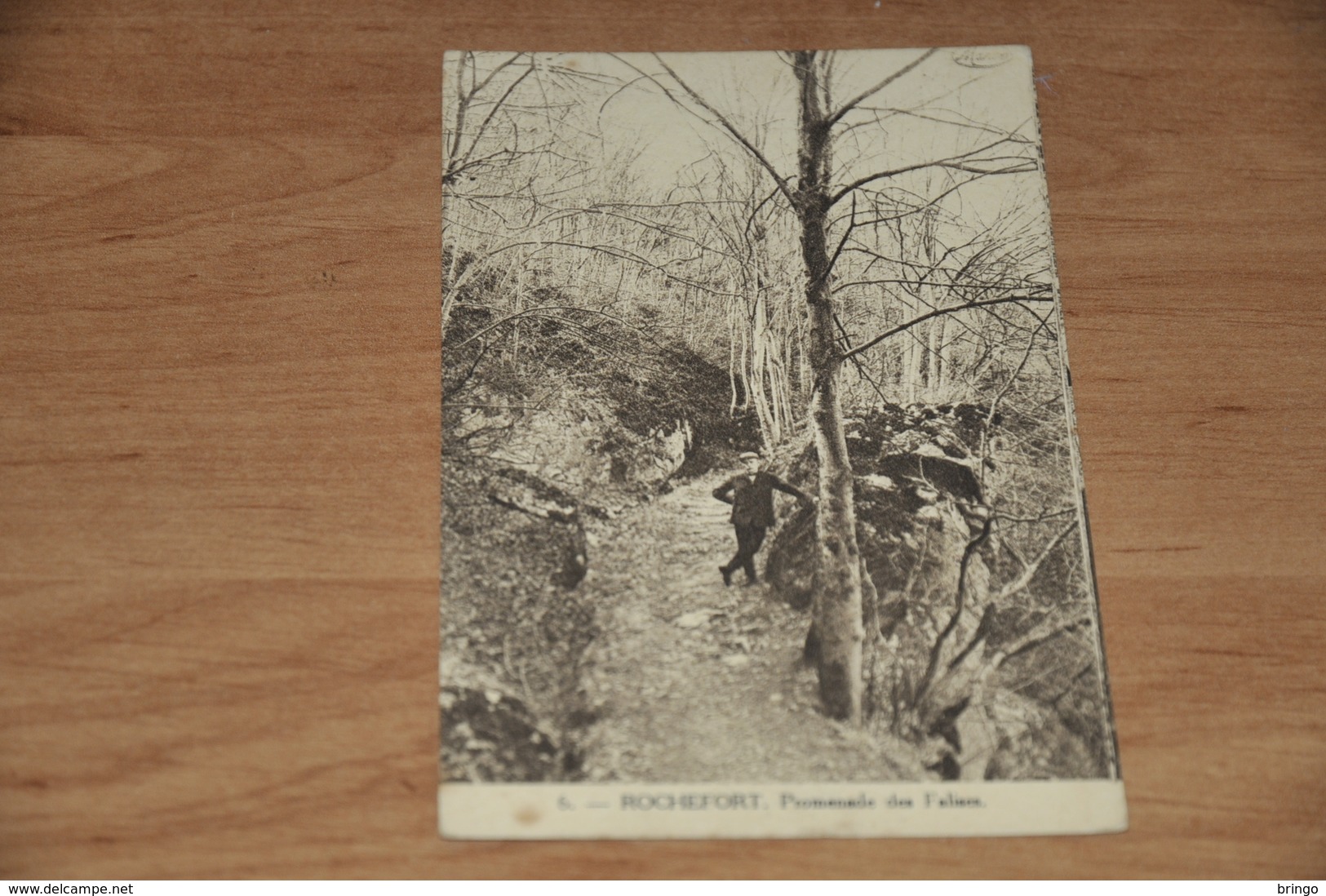 1186- Rochefort, Promenade Des Falises, Animée - Rochefort