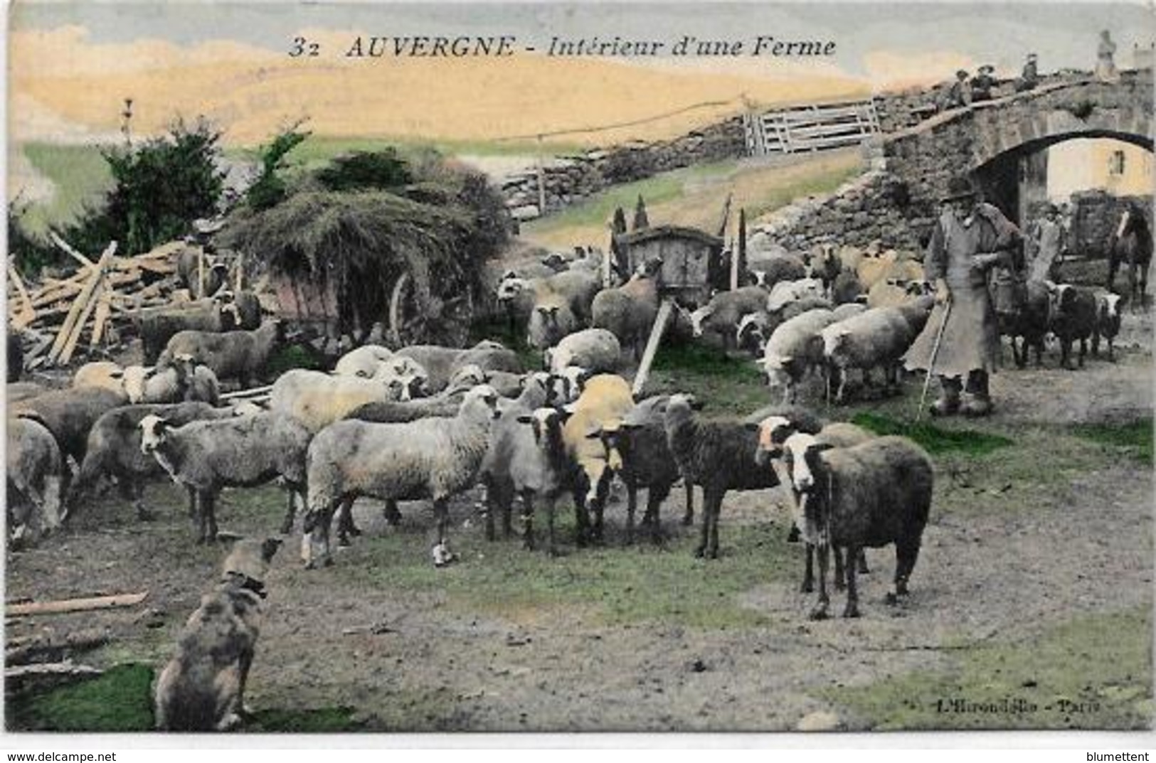CPA Région Auvergne Métier Non Circulé Type Berger Ferme Moutons - Auvergne