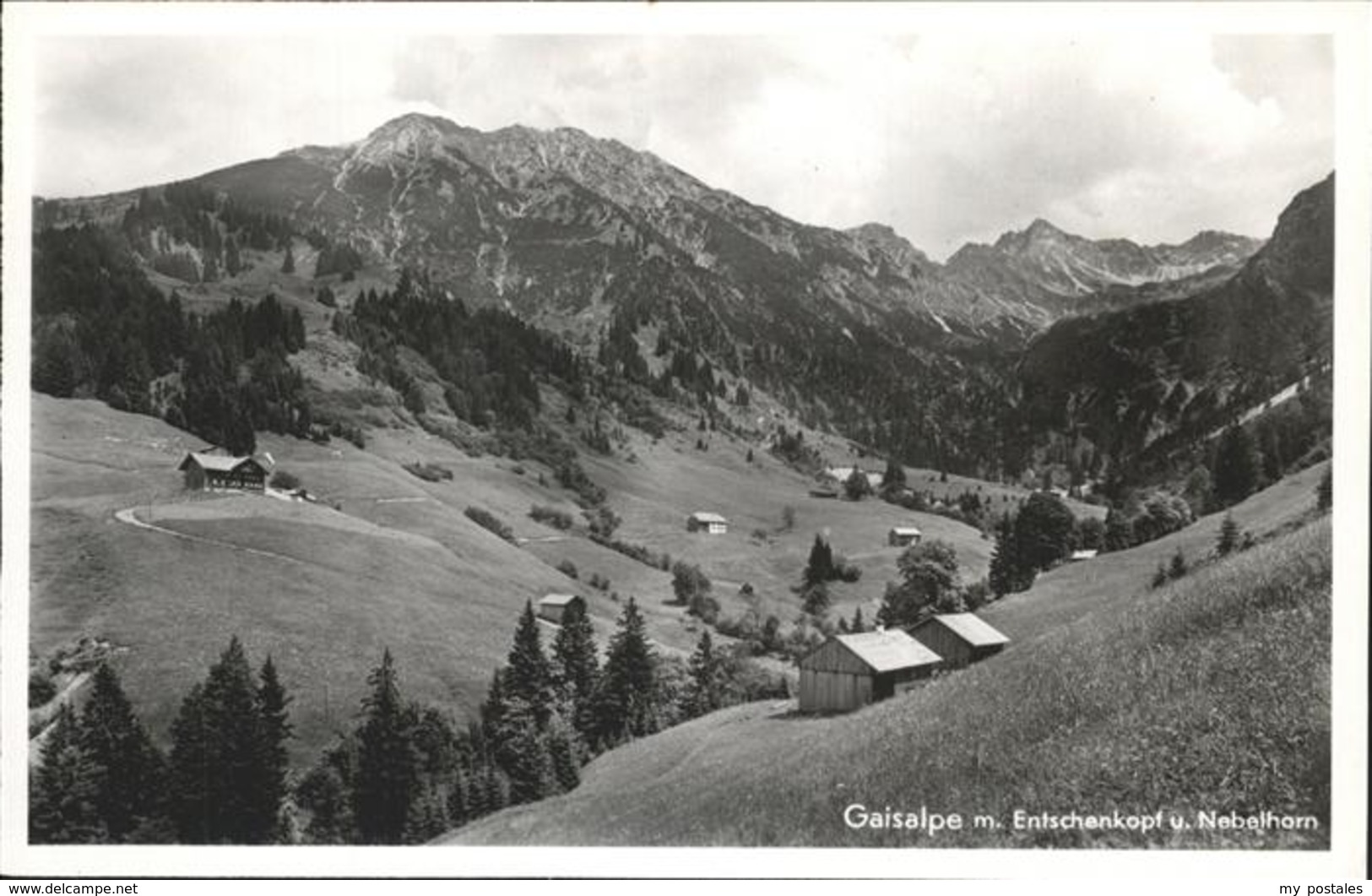 41233414 Langenwang Fischen Gaisalpe Entschenkopf Langenwang - Fischen