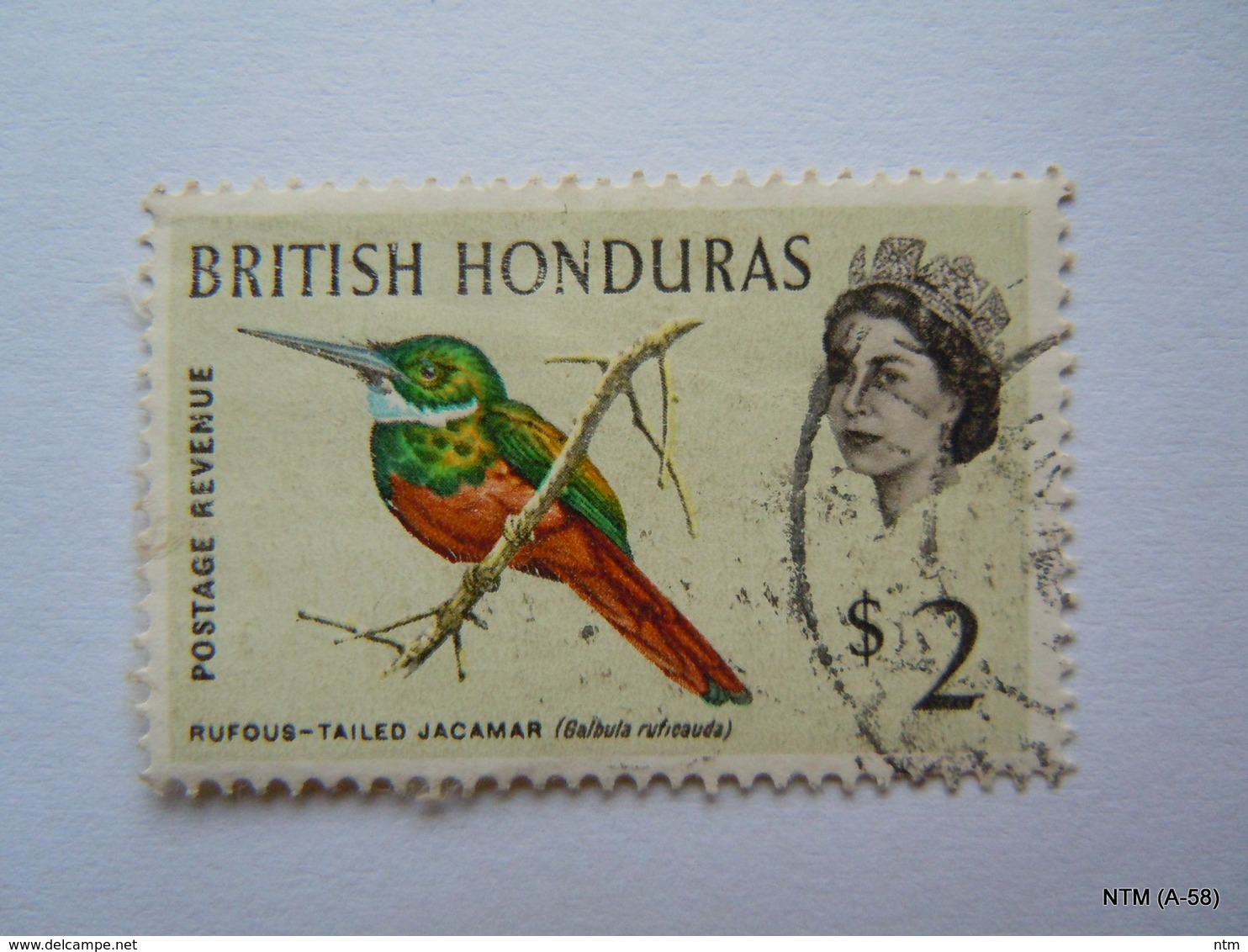 BRITISH HONDURAS 1962, Postage Revenue, Rufoused-TaledJacmar, $2. SG212. Used. - Honduras Británica (...-1970)
