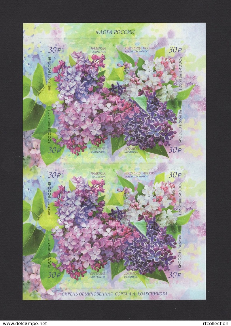 Russia 2018 - One M/S Of Russian Lilac Flora Flowers Flower Plant Nature Sticker Stamps MNH Michel 2546-2549 - Full Sheets