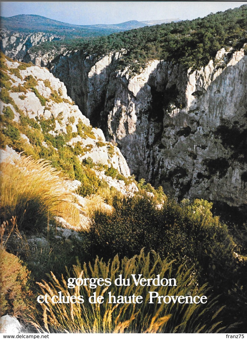 La Côte D'AZUR-album Larousse 1977(voir Scans)--TBE - Côte D'Azur