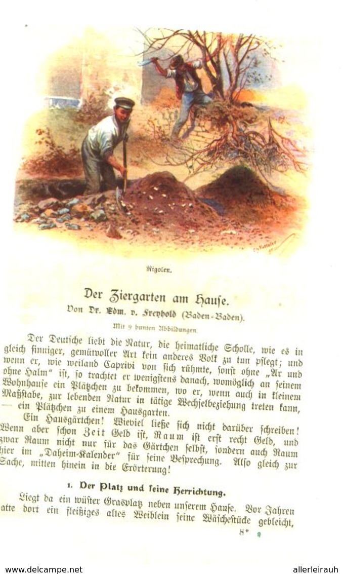 Der Ziergarten Am Hause/ Artikel, Entnommen Aus Kalender / 1907 - Colis