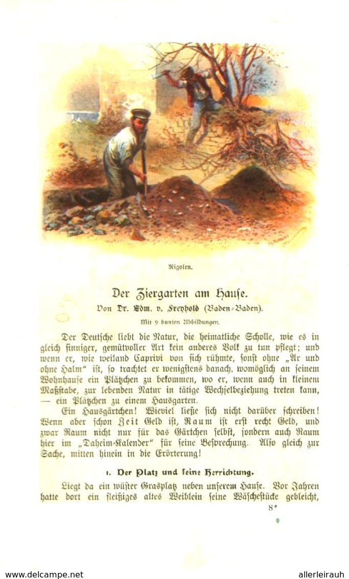 Der Ziergarten Am Hause/ Artikel, Entnommen Aus Kalender / 1907 - Bücherpakete