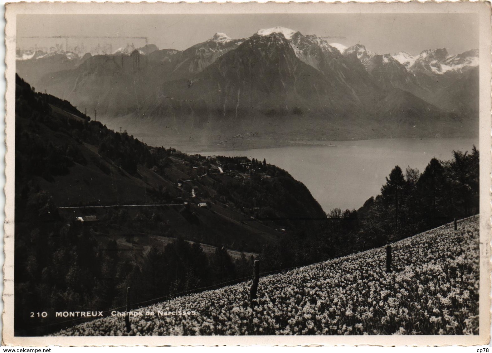 SUISSE - MONTREUX - Champ De Narcisses - Belle Carte Postée - Montreux