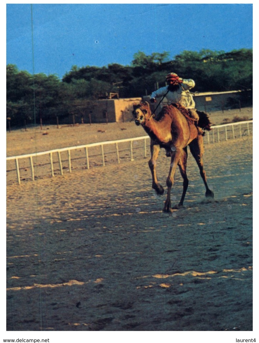 (225) Bahrain With Stamp - Camel Racing - Bahrain