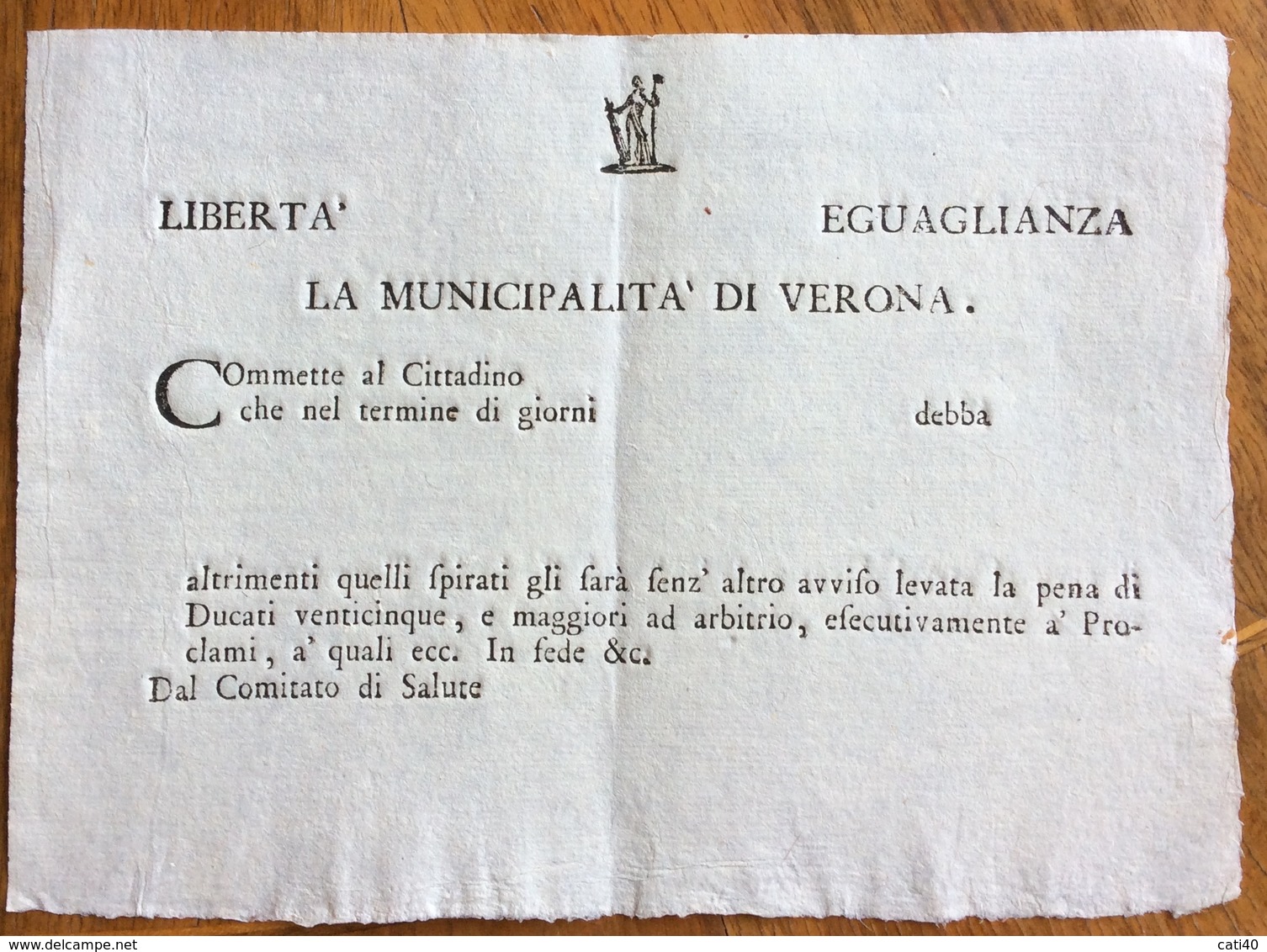 REPUBBLICA CISALPINA LA MUNICIPALITA' DI VERONA  "...PENA DI DUCATI 25...."  DOCUMENTO NUOVO - Documenti Storici