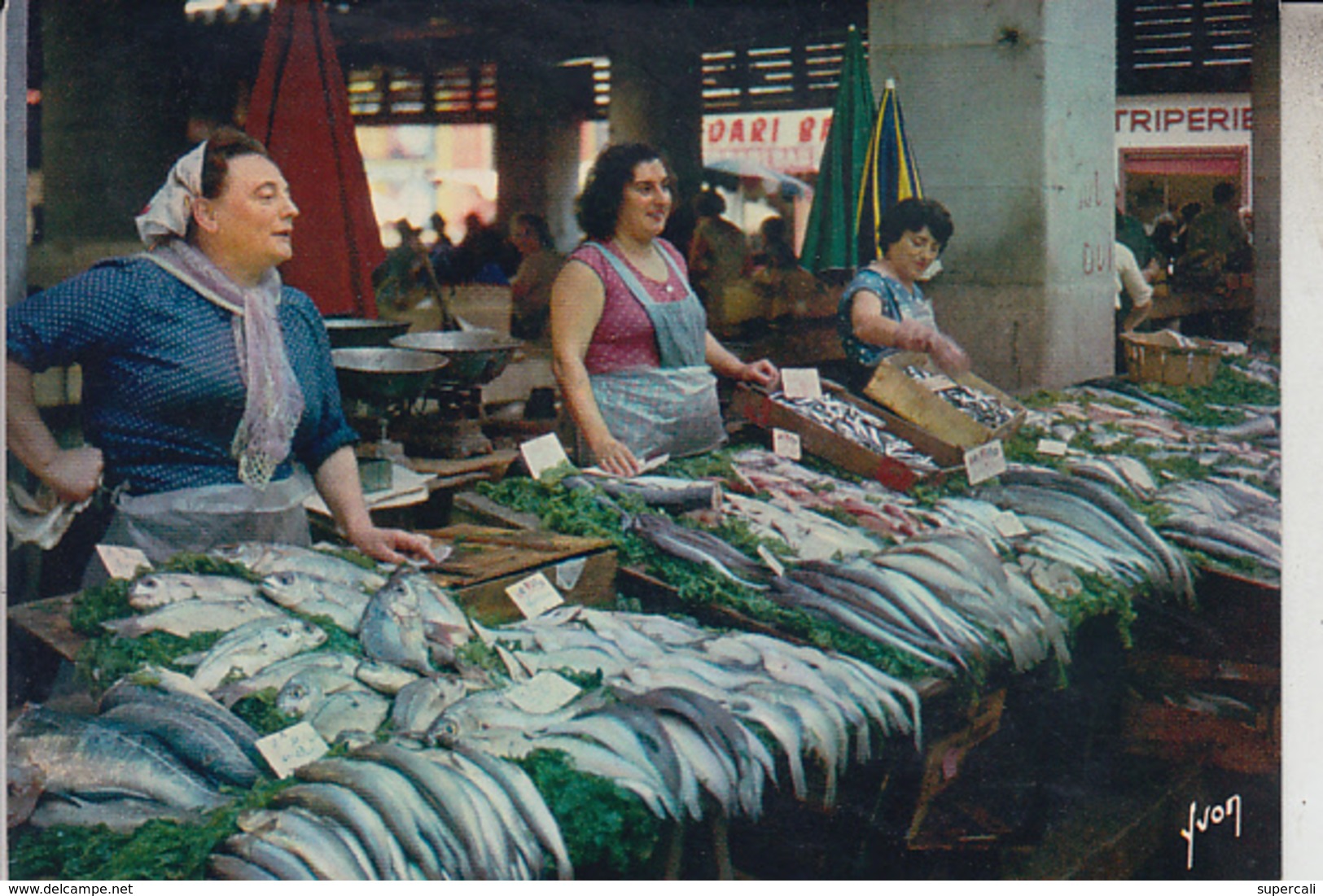 RT31.082 VAR.  TOULON. LE MARCHE AUX POISSONS.SOUS LA HALLE E.K.B.4641 YVON - Toulon