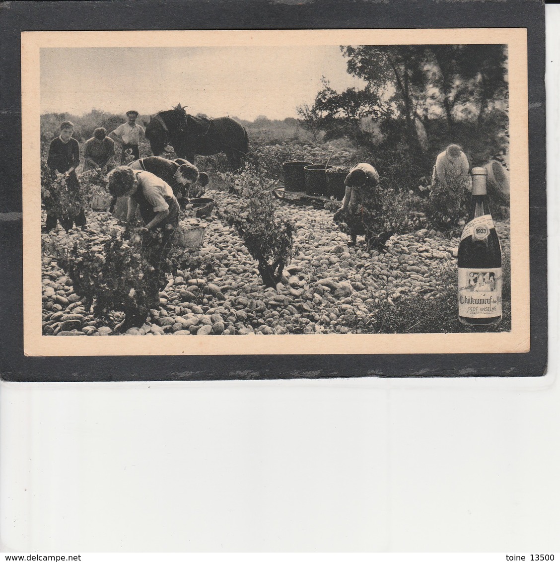 83 CHATEAUNEUF Du PAPE - Père Anselme - Vendanges - Chateauneuf Du Pape