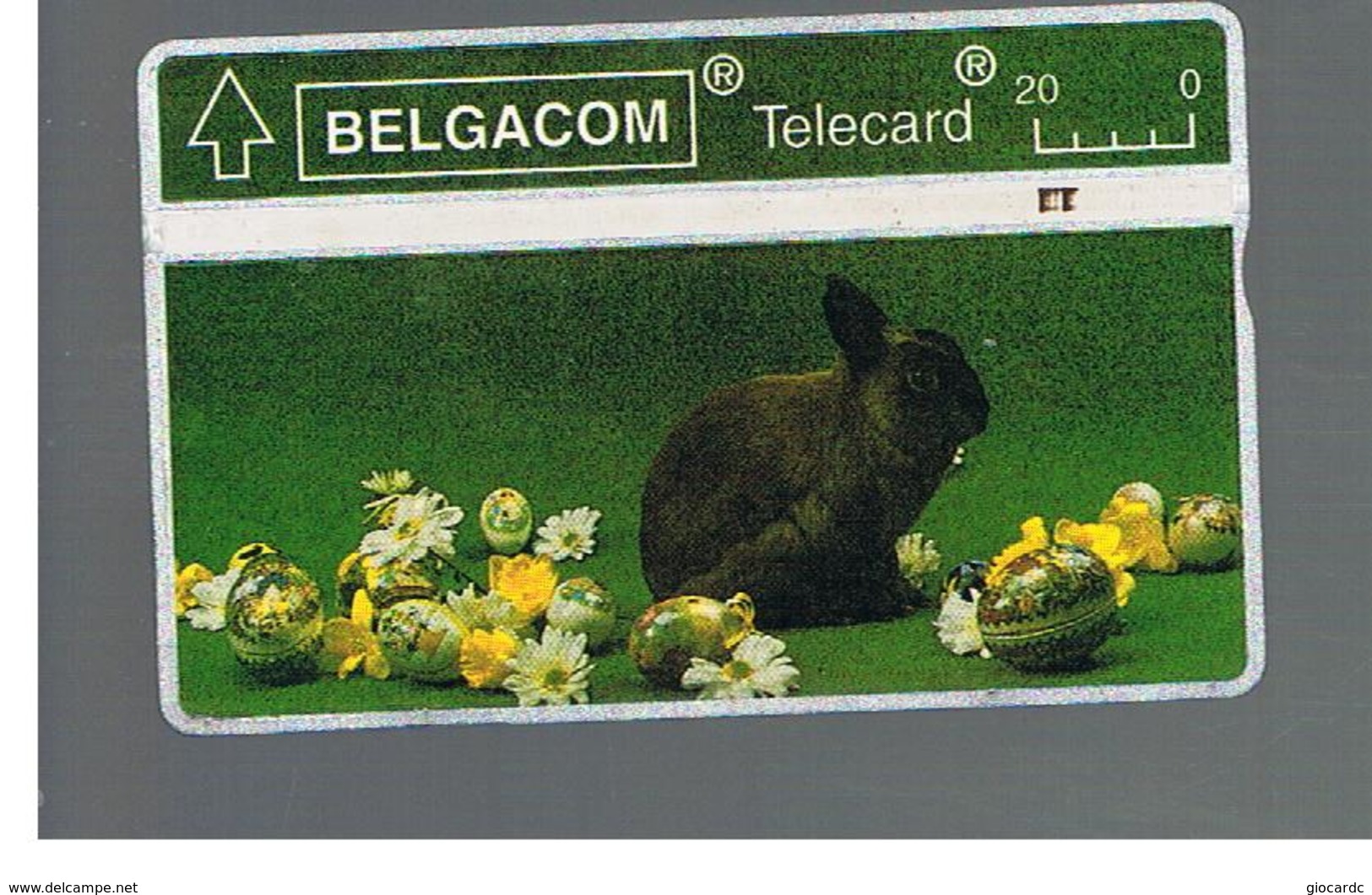 BELGIO (BELGIUM) -  1993 EASTER, RABBIT                     - USED - RIF. 10821 - Conejos
