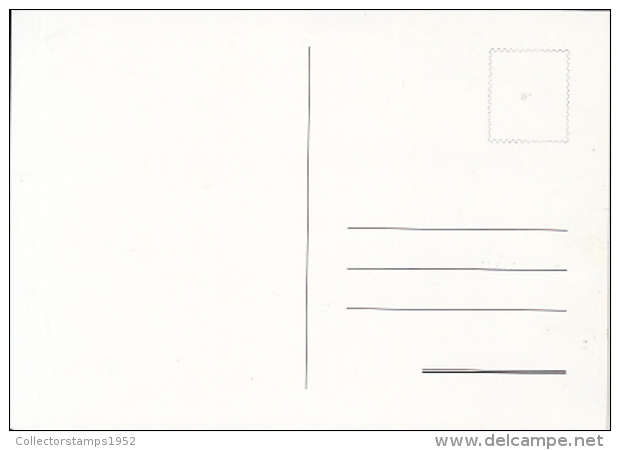 70740- SAN MAURO CASTELVERDE, SPECIAL POSTCARD, CASTLE STAMP, 1999, ITALY - 1991-00: Usati