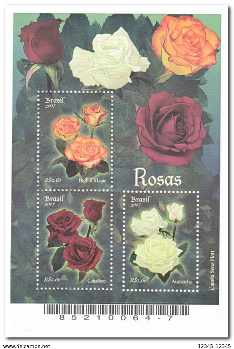 Brazilië 2007, Postfris MNH, Flowers, Roses - Neufs