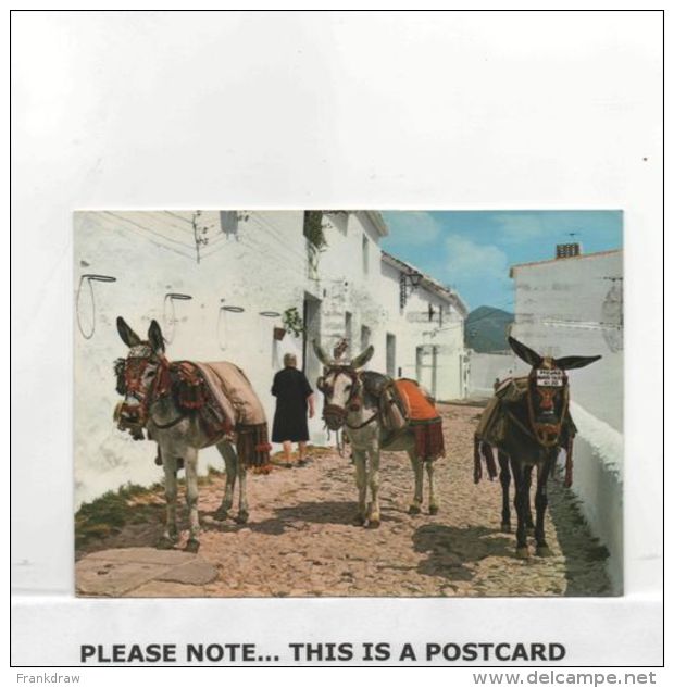 Postcard - Costa Del Sol - Mijas - Typical Scene - Postmarked Malaga - VG - Non Classés