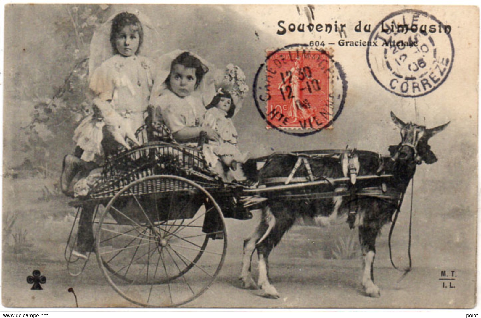 Souvenir Du Limousin - Gracieux Attelage (Attelage Chèvre Et Enfants (104682) - Chiens