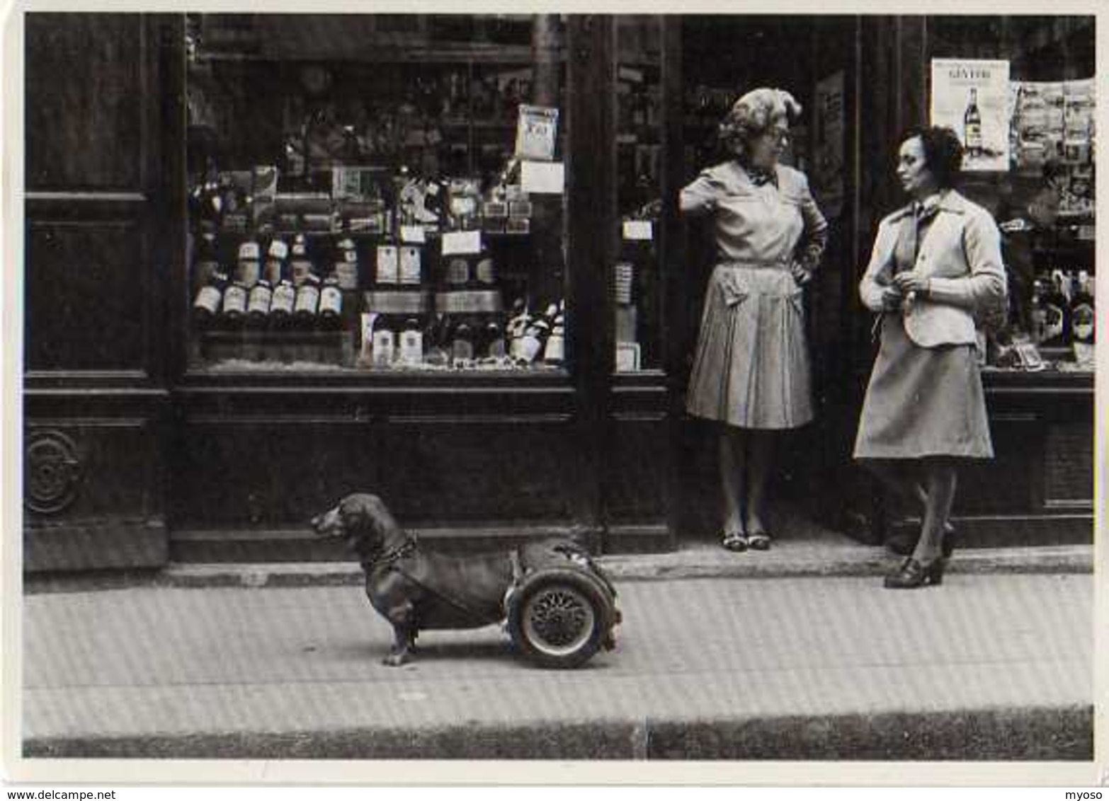 Robert DOISNEAU Dog On Wheels, Chien A Roulettes, Fotofolio, Devanture De Boutique , Bouteilles De Vin - Doisneau