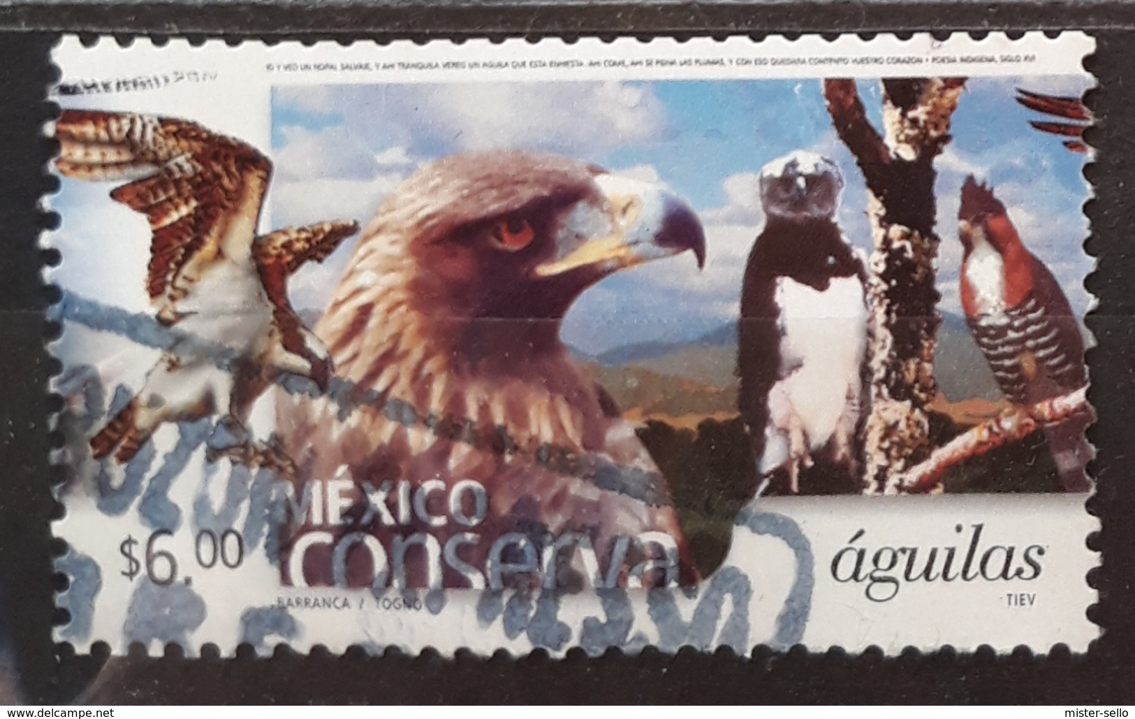 MÉXICO 2002 Nature Conservation. USADO - USED. - Mexico