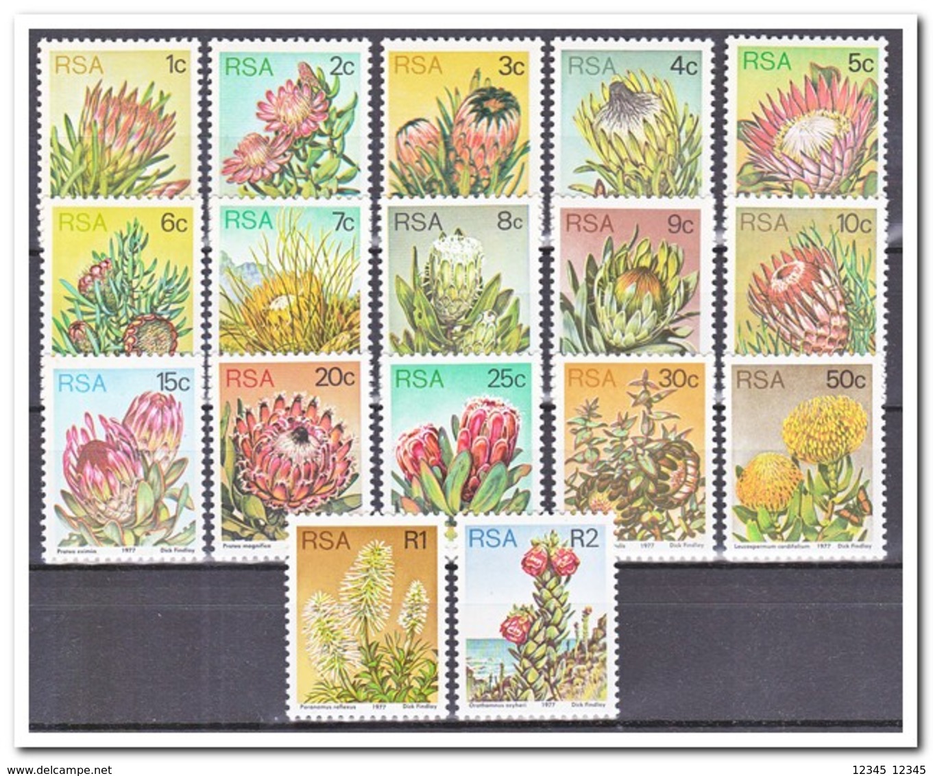 Zuid Afrika 1977, Postfris MNH, Plants - Ongebruikt