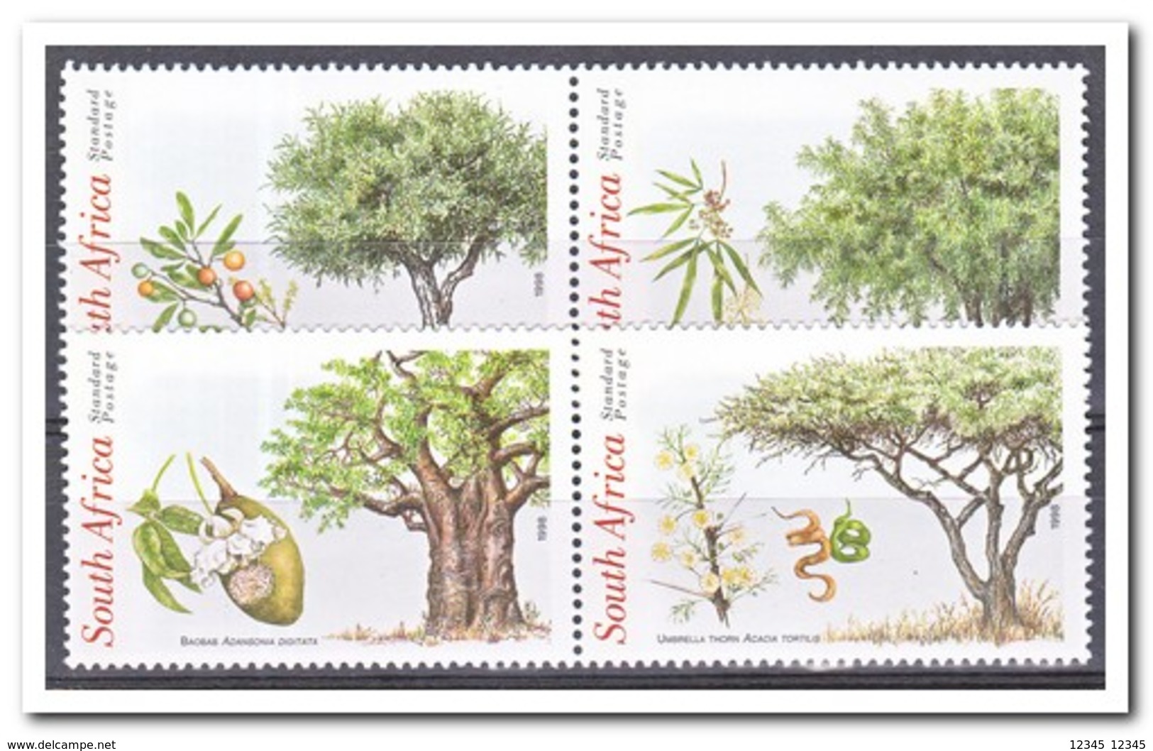 Zuid Afrika 1998, Postfris MNH, Trees - Nuovi