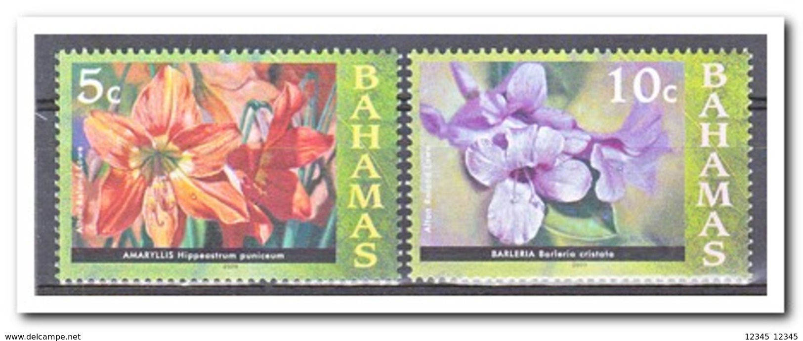 Bahamas 2008, Postfris MNH, Flowers - Bahama's (1973-...)