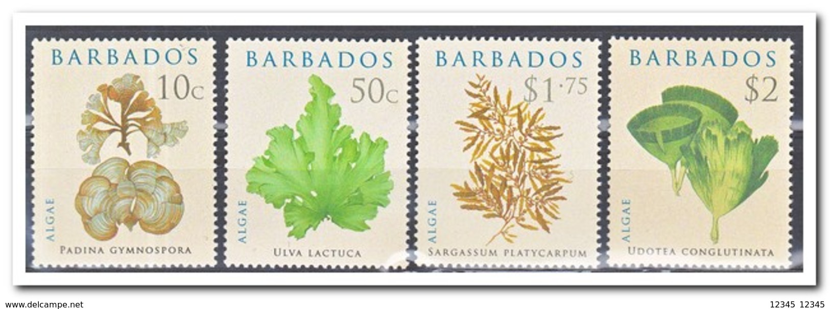 Barbados 2008, Postfris MNH, Plants - Barbados (1966-...)