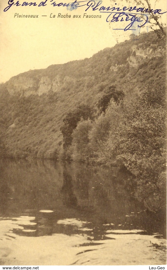 Plainevaux (Neupré). La Roche Aux Faucons - Neupré