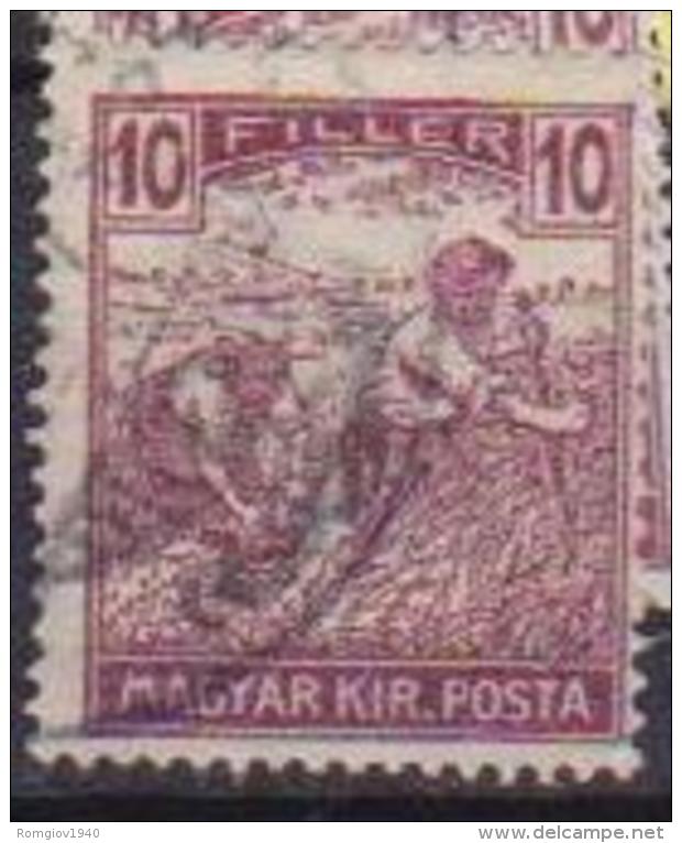 UNGHERIA  1920-23  ORDINARIA MAGYAR KIR.POSTA YVERT. 288 USATO VF - Usati