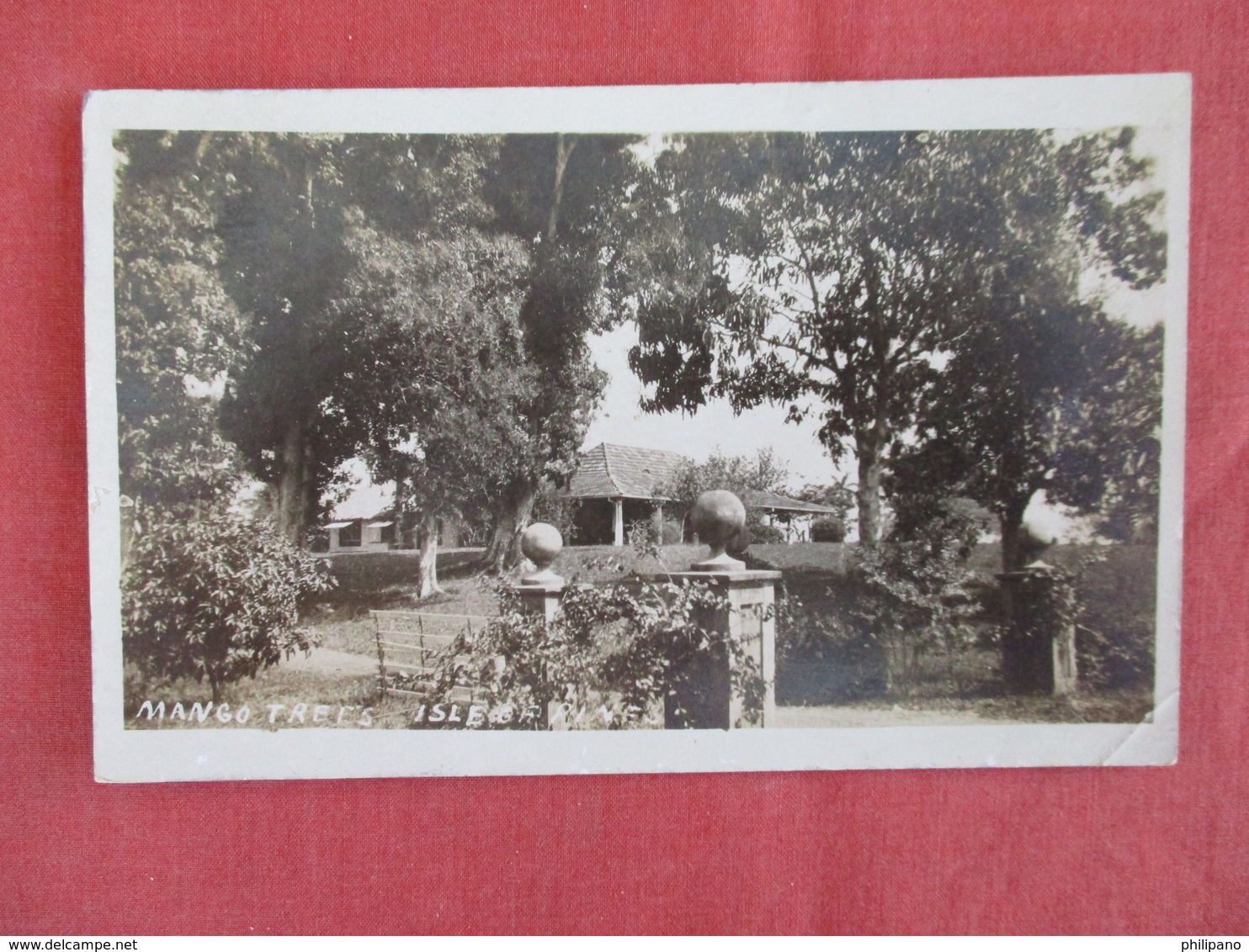 RPPC Mango Trees Isle Of Pine -Cuba--ref 2926 - Kuba