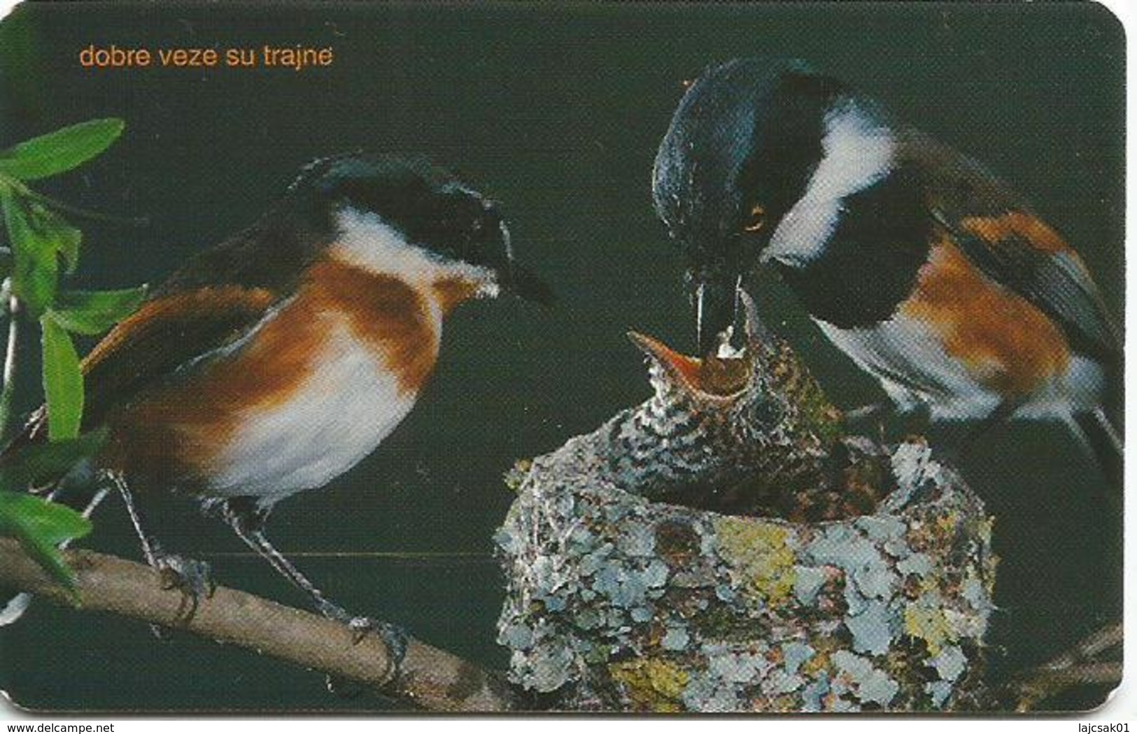 Bosnia Chip Card Birds Oiseaux Oiseau - Bosnien