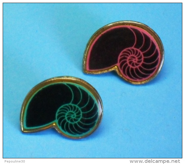 2 PIN'S //   ** 2 AMMONITES ** . (Argine) - Lots