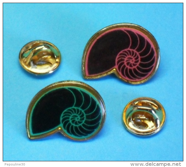 2 PIN'S //   ** 2 AMMONITES ** . (Argine) - Lots