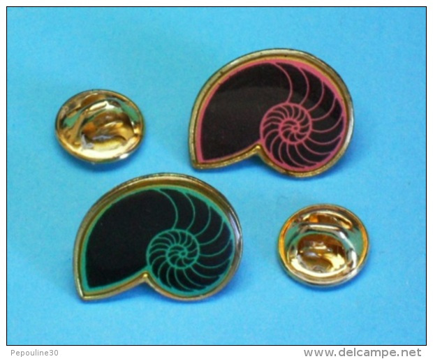 2 PIN'S //   ** 2 AMMONITES ** . (Argine)