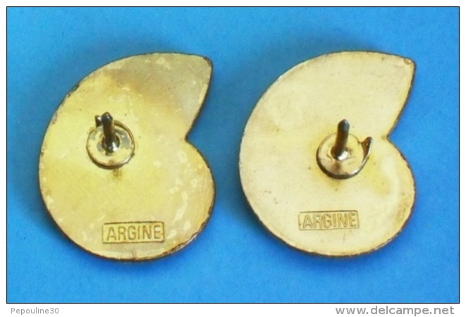 2 PIN'S //   ** 2 AMMONITES ** . (Argine)