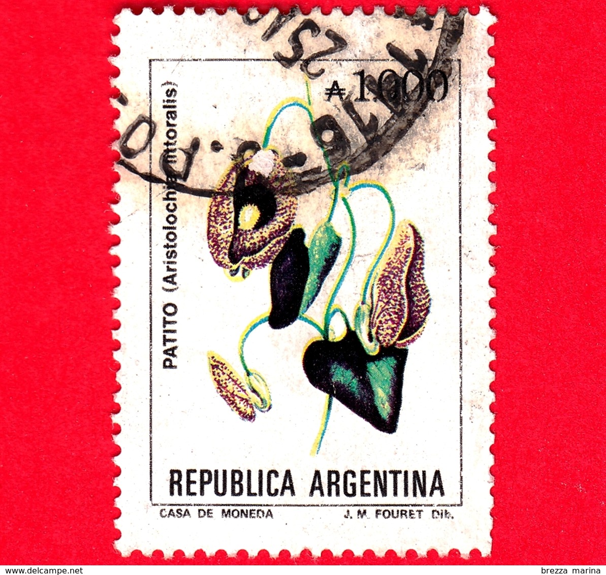 ARGENTINA - Usato -  1990 - Fiori - Flowers - Fleurs - Aristolochia Littoralis - 1000 - Used Stamps