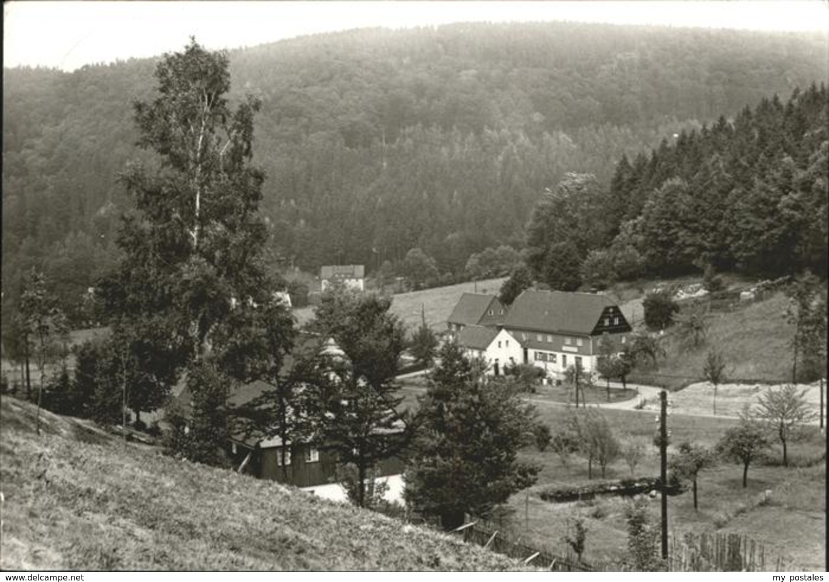 41234342 Holzhau Rechenberg-Bienenmuehle Panorama Holzhau - Rechenberg-Bienenmühle