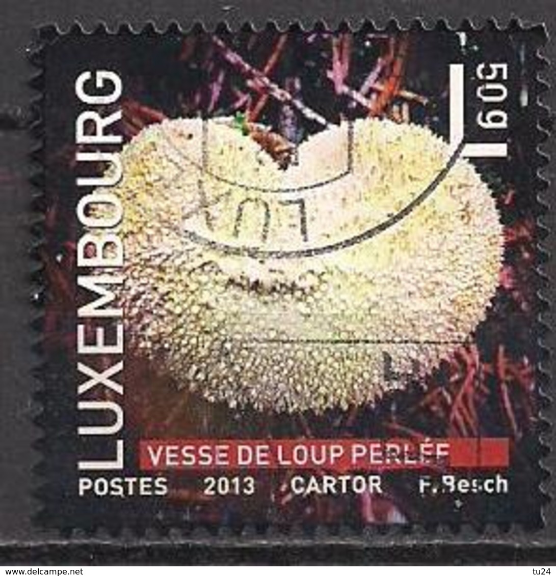 Luxemburg  (2013)  Mi.Nr.  1991  Gest. / Used  (3el07) - Oblitérés