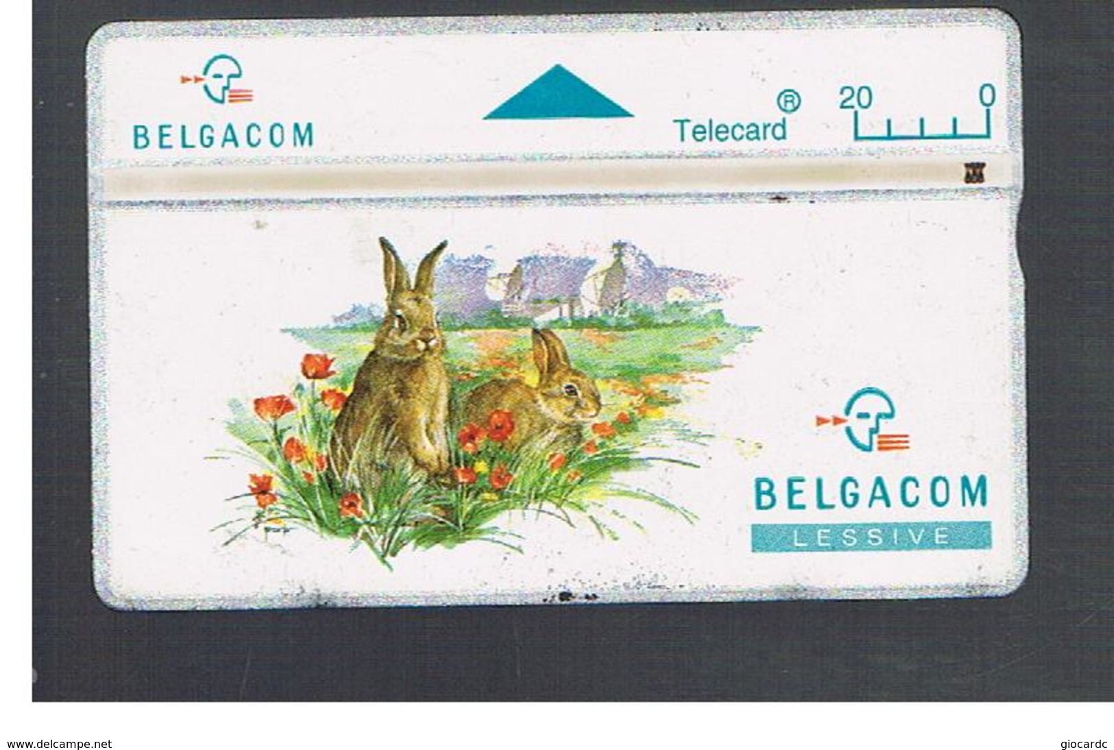 BELGIO (BELGIUM) -  1994  ANIMALS:  RABBITS   - USED - RIF. 10828 - Conejos