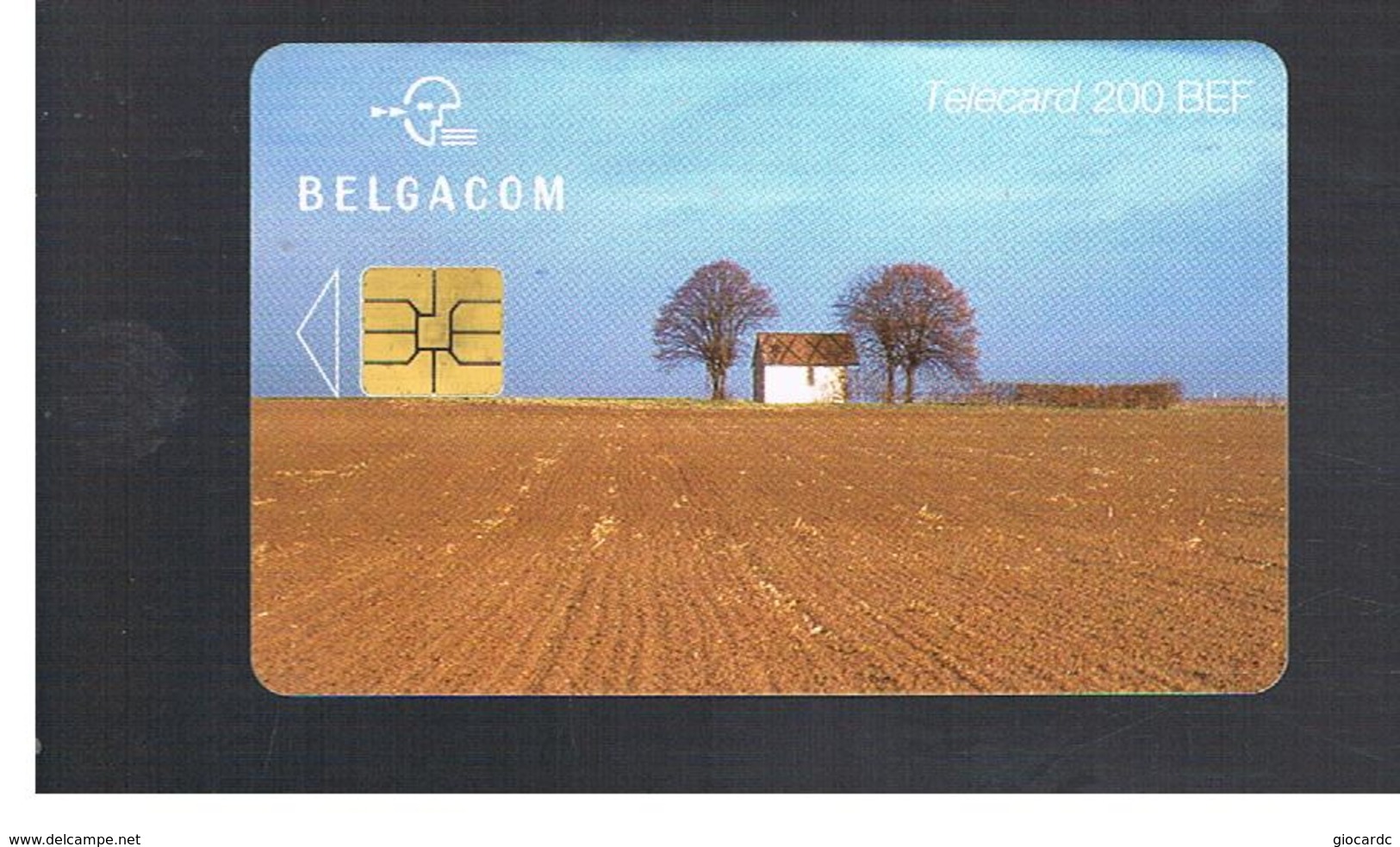 BELGIO (BELGIUM) -  1998 AUTUMN   - USED - RIF. 10838 - Jahreszeiten