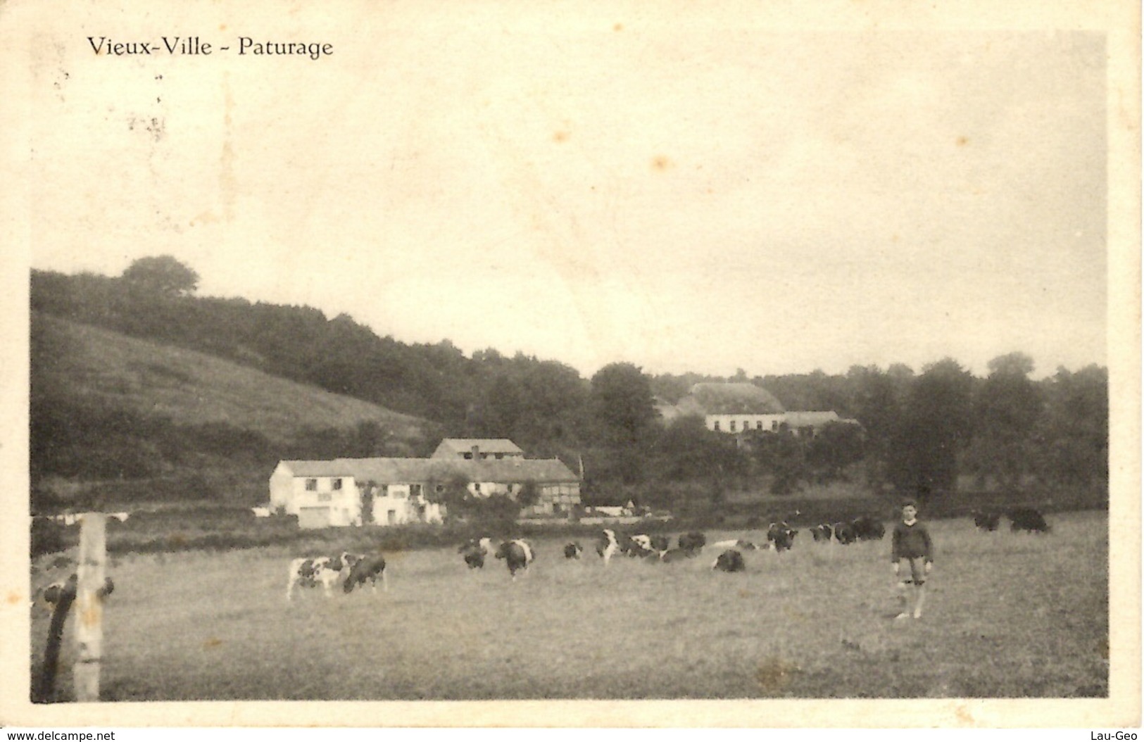 Vieux-Ville (Ferrieres). Paturage - Ferrières