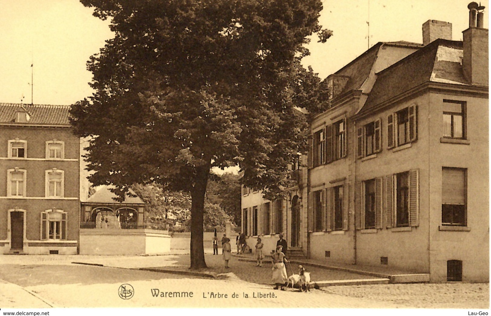 Waremme. L'arbre De La Liberté - Waremme