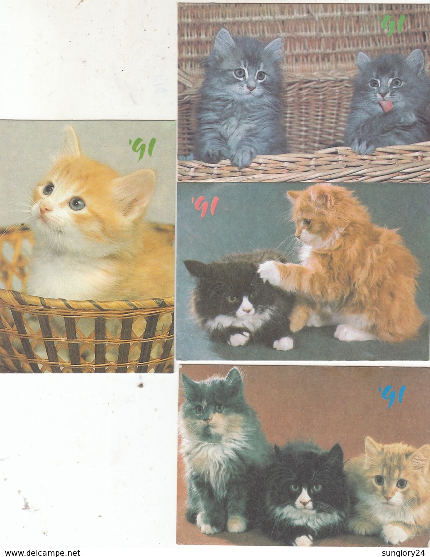 CALENDARIC. 1992 THE PERFECT CATS. RUSSIA. 4 PIECES *** - Formato Piccolo : 1991-00