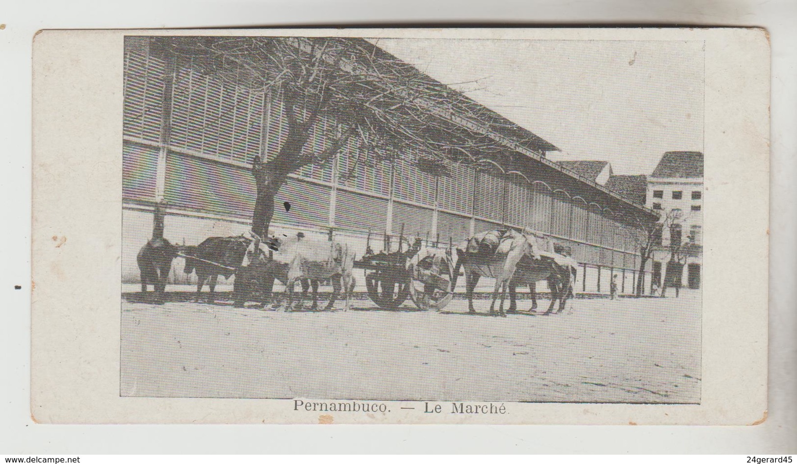 CPA PERNAMBUCO (Brésil) - Le Marché Format 75 X 139 Mm - Recife