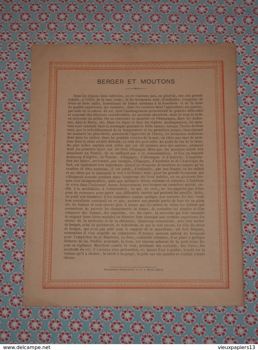 Couverture Illustrée D'ancien Cahier D'écolier - Berger Et Moutons - Fin XIXe - Other & Unclassified