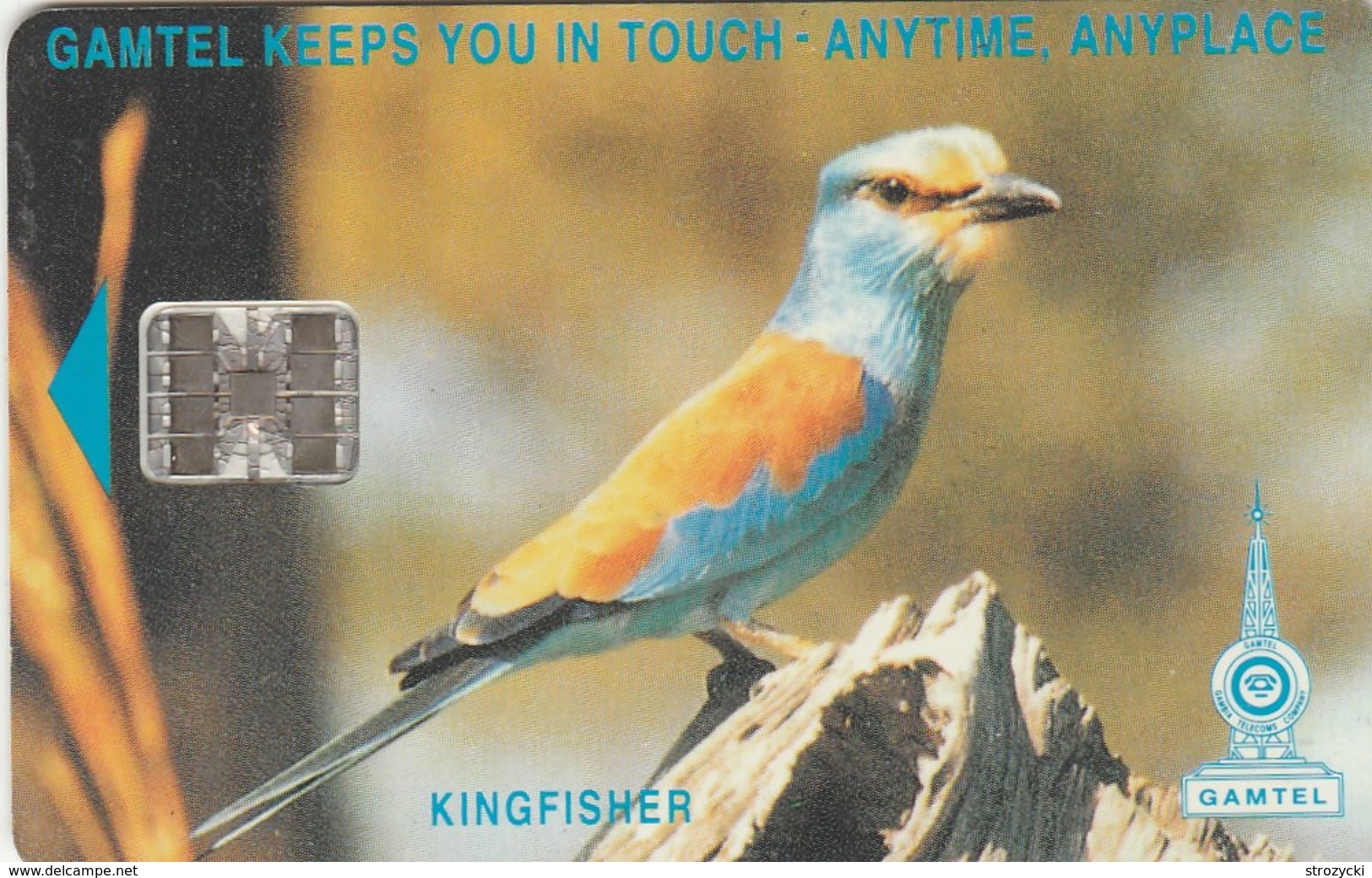 Gambia -  Kingfisher (CN: C511) - Gambie